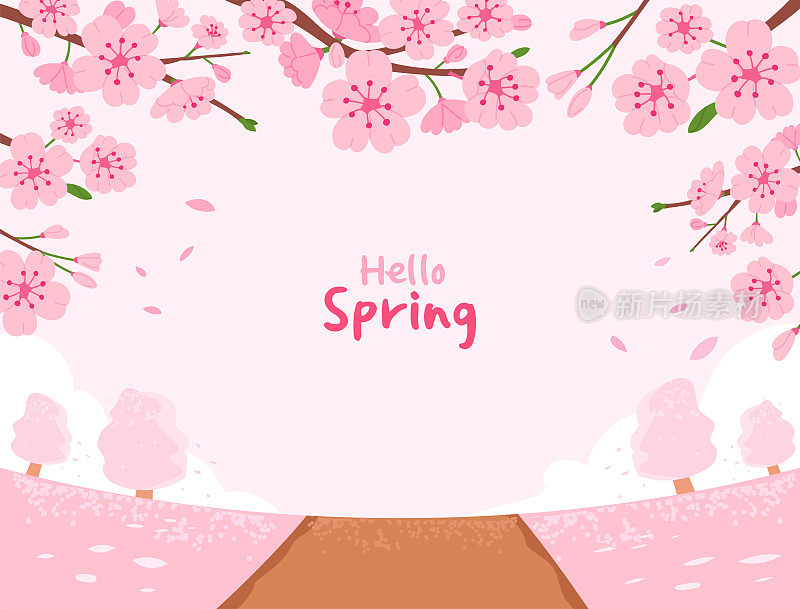 Hello spring! A landscape of cherry blossoms.